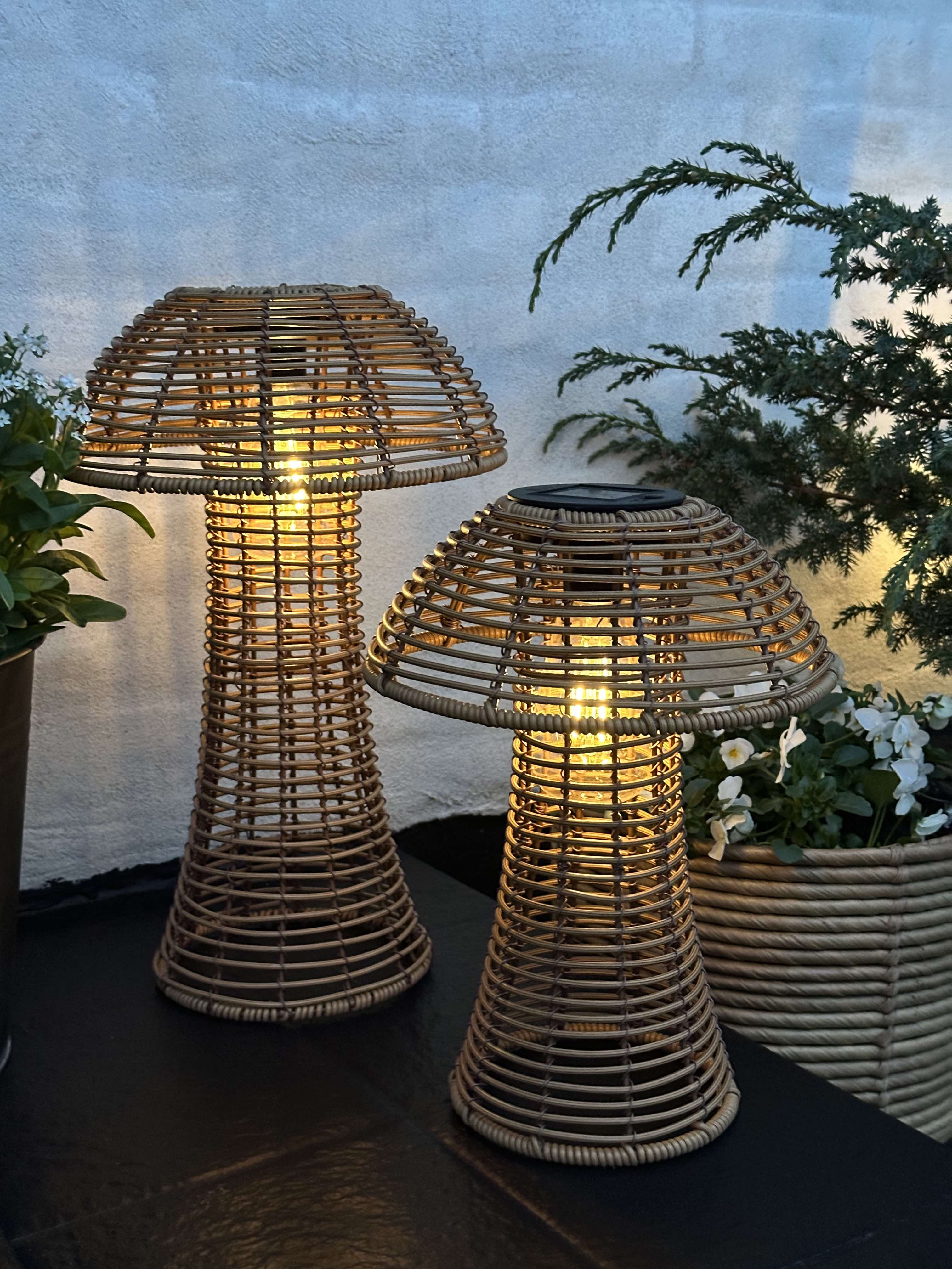Mushroom Solar - Natur Small
