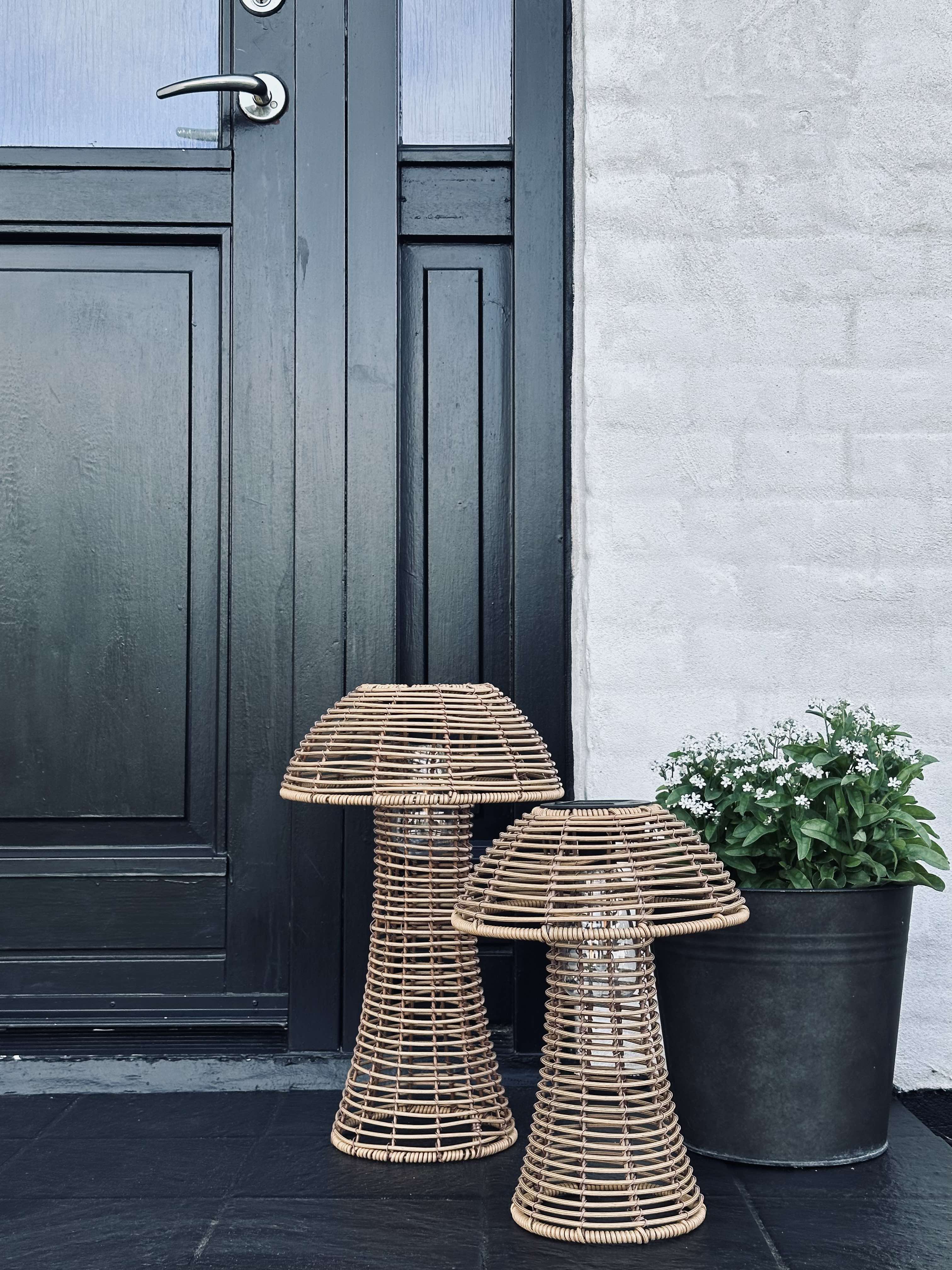 Mushroom Solar - Natur Small